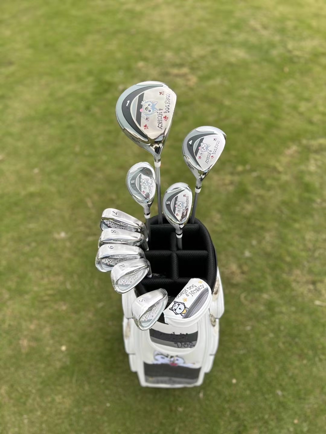 Happy dog ​​cartoon image golf - Golf Equipment Images ulasan dan harga